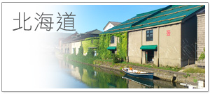 北海道旅行社 